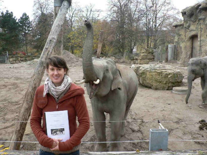 Susan Hambrecht vor der Elefanten-Außenanlage. Im Hintergrund Elefantenbulle Voi Nam.